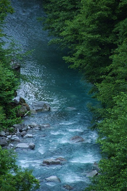 b0152416_0463489.jpg