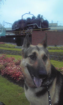 c0090220_1851496.jpg