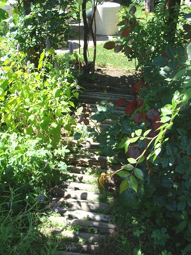 f0170524_1619465.jpg