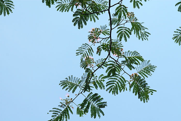 c0067040_22525267.jpg