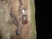 d0129745_2091248.jpg