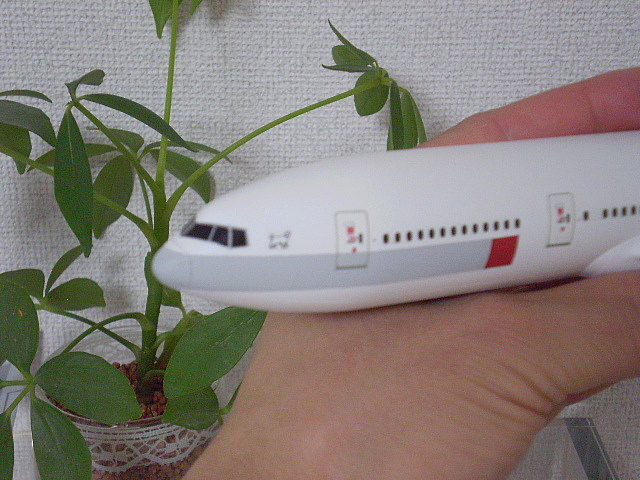 e0118346_23501739.jpg