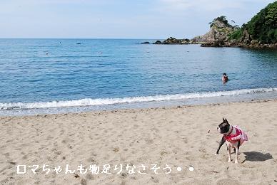 夏真っ盛り！　　～青井浜ワンワンビーチにて～_e0126046_0261223.jpg