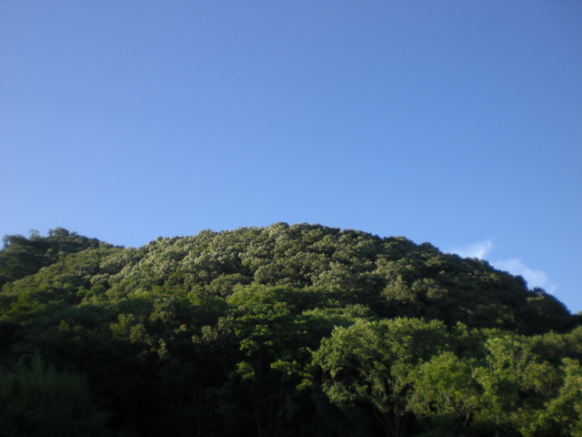 b0152548_1722961.jpg