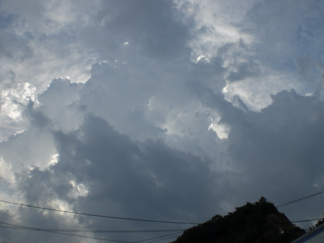 b0152548_1731664.jpg