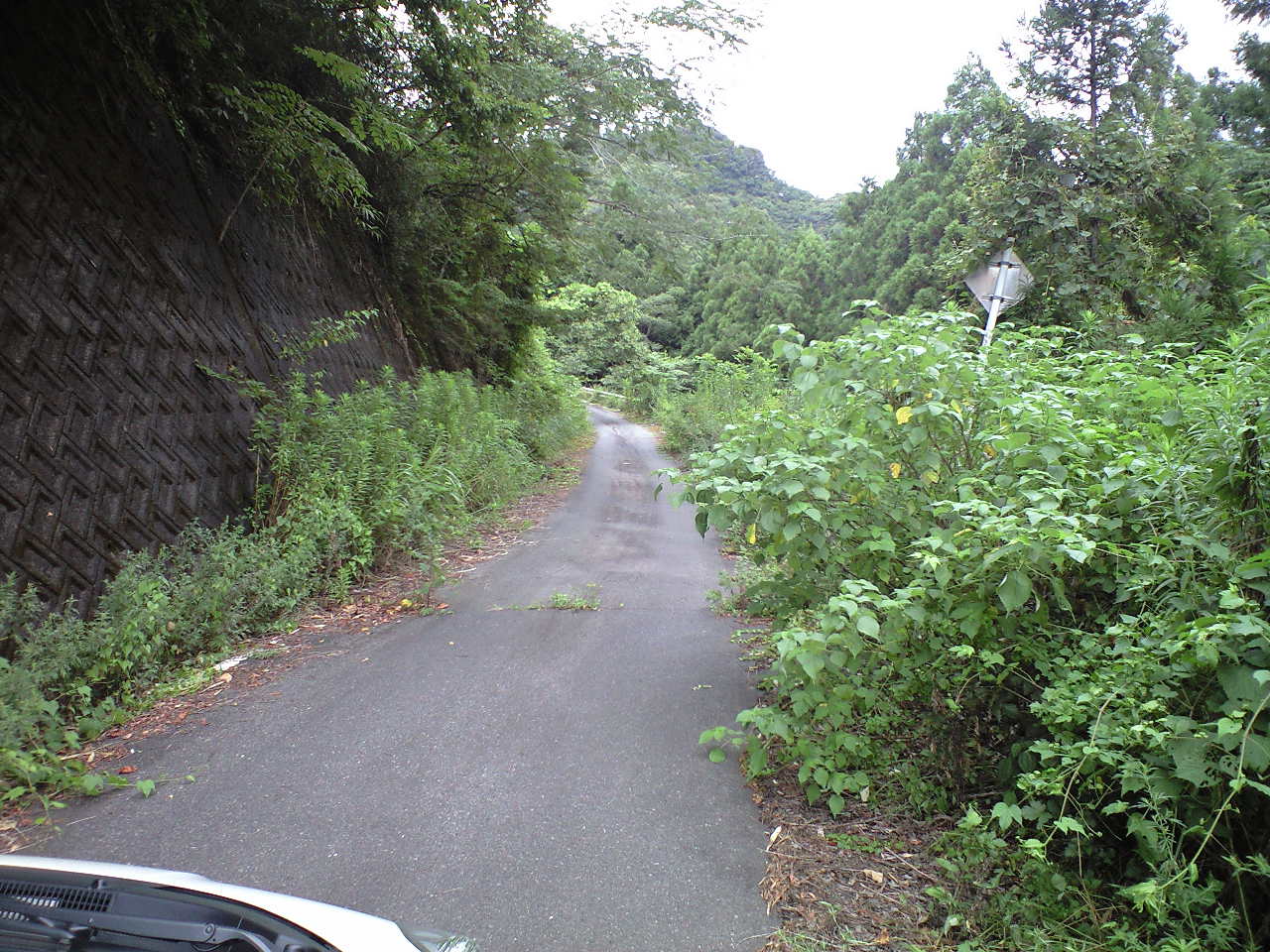 a0015353_22434587.jpg