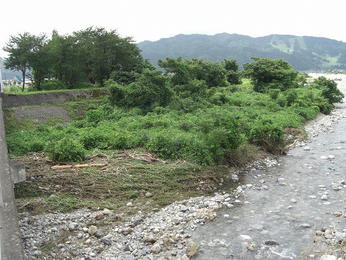 水無川の河川敷の様子_a0084753_15325539.jpg