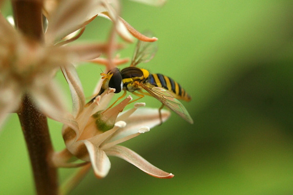 f0147858_2035084.jpg