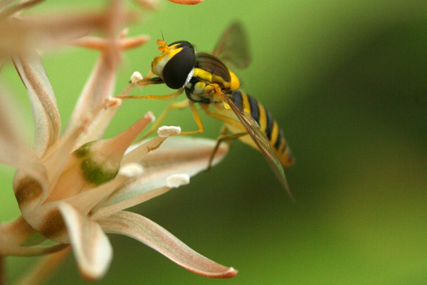 f0147858_20354316.jpg