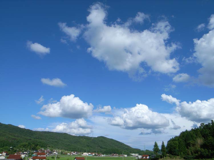 b0112661_85296.jpg
