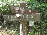 多良岳（９９６ｍ）／九州百名山～黒木登山口・金泉寺山小屋・オオキツネノカミソリ_a0093965_188238.jpg