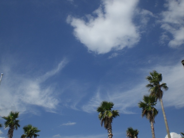 b0149867_2152364.jpg