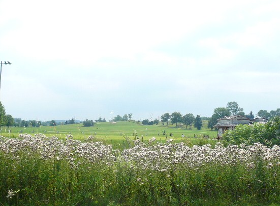 a0100975_11173227.jpg