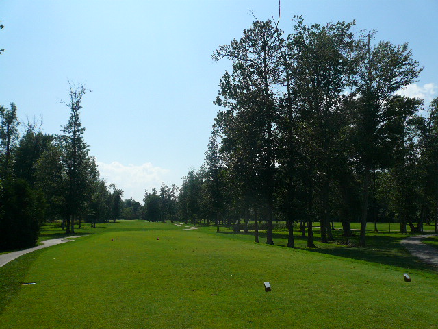 a0100975_11344145.jpg