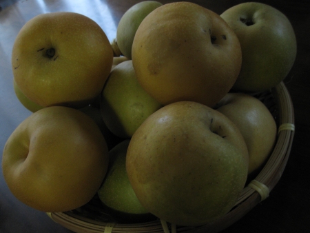f0175875_20222429.jpg