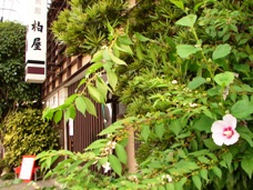 b0011185_21185813.jpg