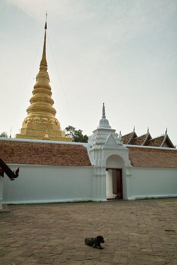 #166 ワット・プラ・タート・チェーヘーン(วัดพระธาตุแช่แห้ง) ~ナーン~_c0039685_16394041.jpg