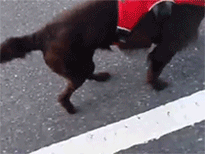 b0132390_23482171.gif