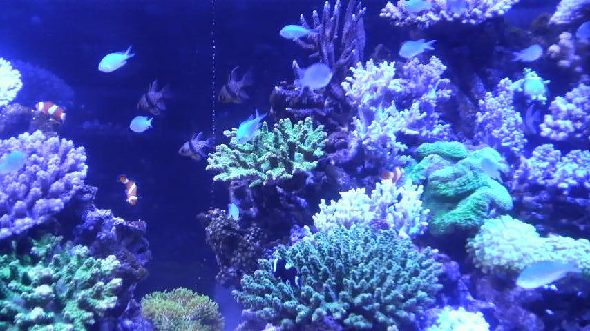 c0124790_23212475.jpg