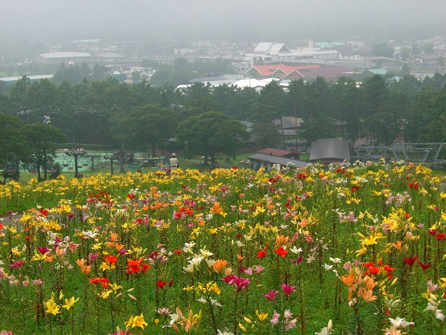 高原の涼風_c0125702_1843084.jpg