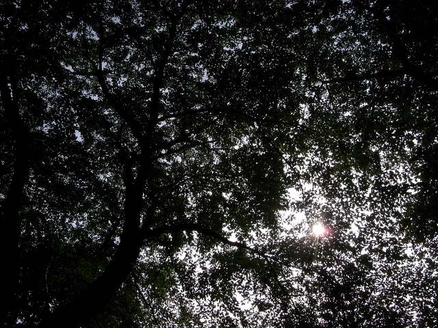 c0071611_21561217.jpg