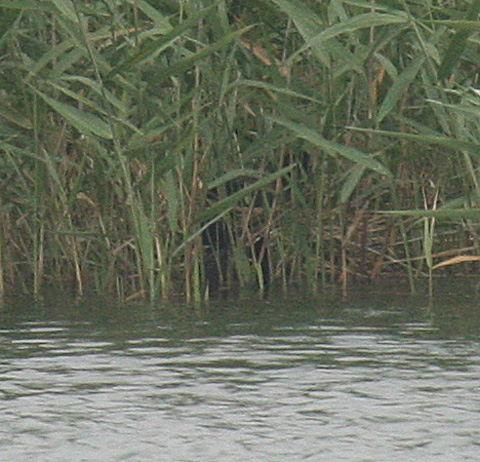f0161823_17154611.jpg