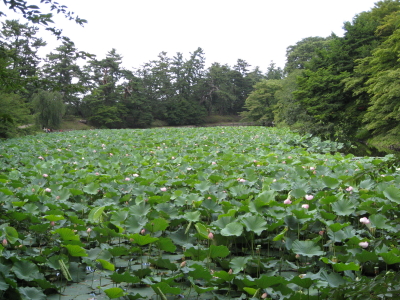 b0147224_21585085.jpg