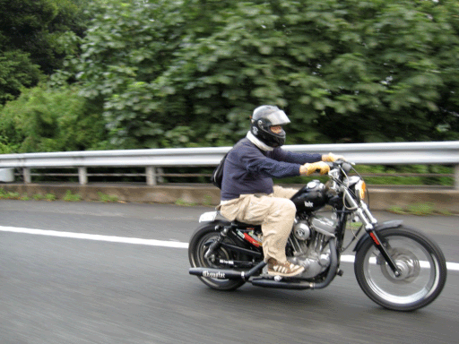 c0006028_1322469.gif