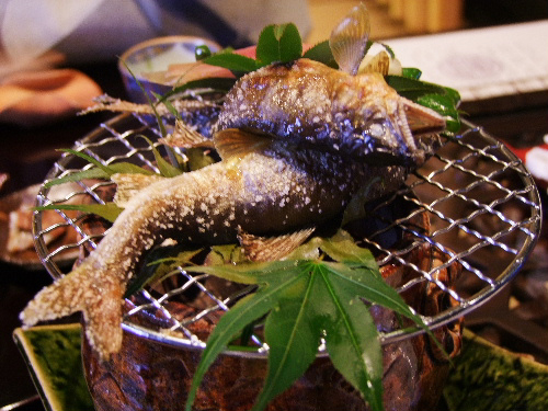 「箱根 仙石原のお宿」_a0000029_11151246.jpg