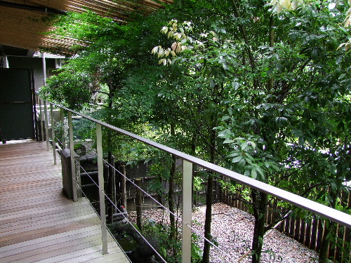 「箱根 仙石原のお宿」_a0000029_11232943.jpg