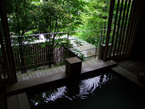 「箱根 仙石原のお宿」_a0000029_11245335.jpg