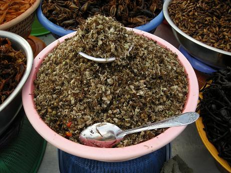 【警告！昆虫でます】プノンペンの昆虫屋台はハンパない_c0030645_0305278.jpg