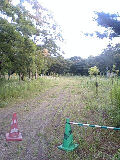 c0047856_1932175.jpg