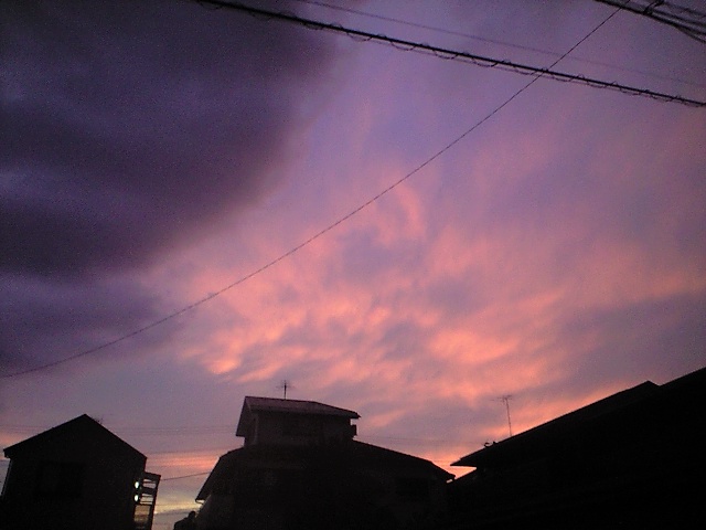 c0152356_1534039.jpg