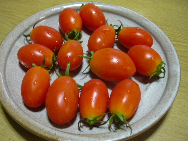 d0148063_21315455.jpg