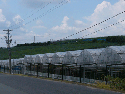 d0137664_19153399.gif