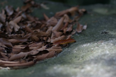 d0141365_2131569.jpg
