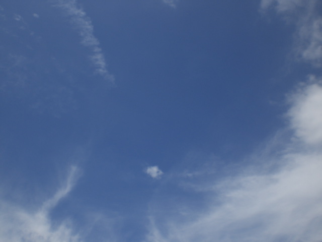 b0149867_2154334.jpg