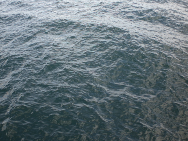 b0149867_21553630.jpg