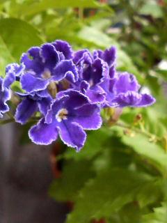 f0140174_239356.jpg
