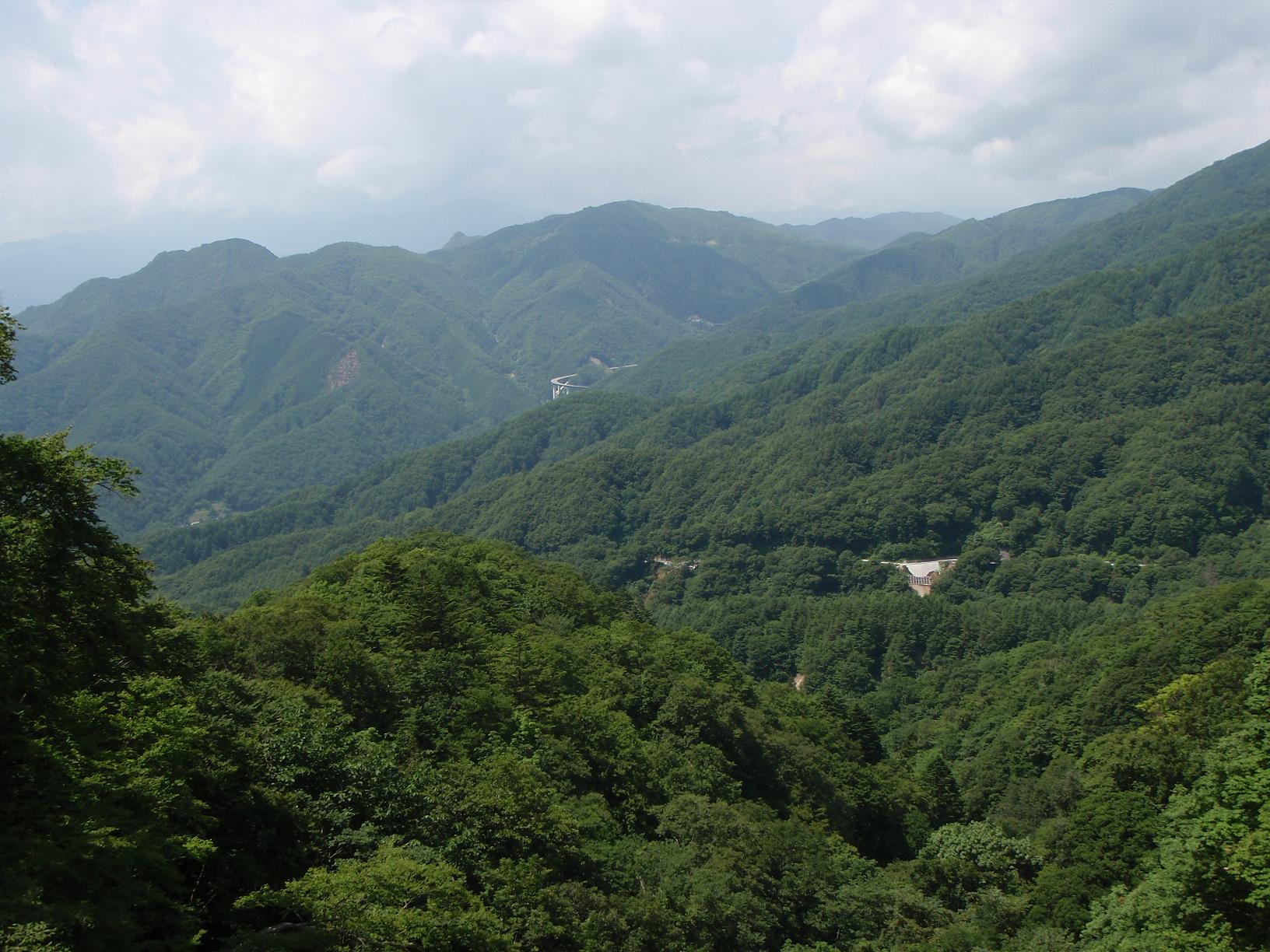 峠三昧、深山の趣を求めて【上日川峠】_b0012281_19371241.jpg