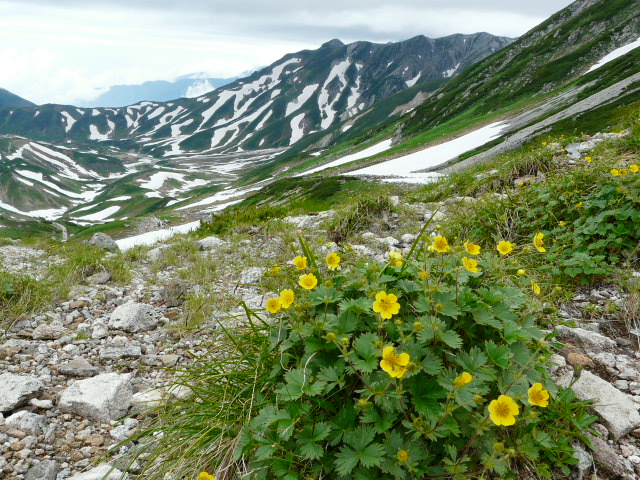 e0145782_62778.jpg