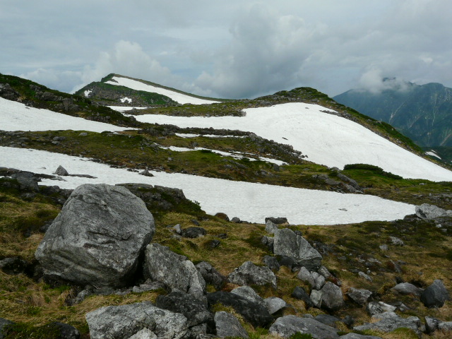 ７月２７日　立山自然観察第２日・その１_e0145782_63289.jpg