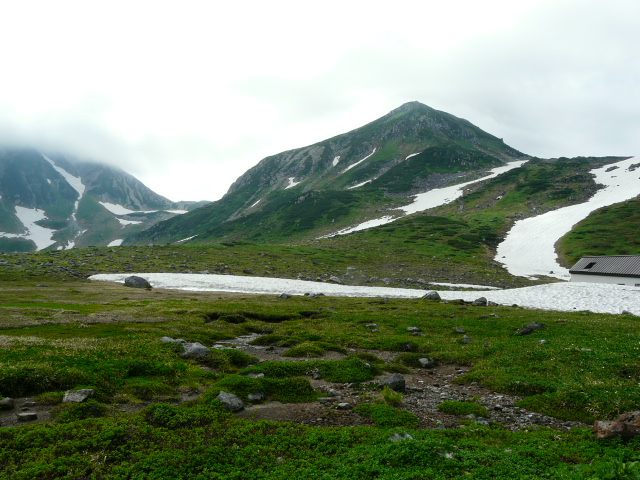 ７月２７日　立山自然観察第２日・その１_e0145782_63291.jpg