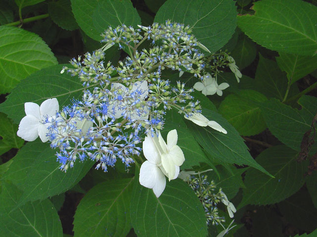 e0130986_1912750.jpg