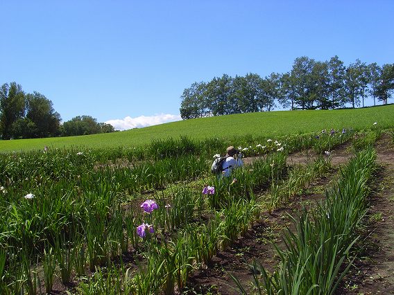 e0130986_2228037.jpg