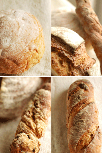 Zopf ツォップ_d0023111_938412.gif