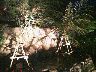 a0015614_1993872.jpg