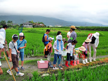 業務連絡～会報原稿_d0032114_13383655.jpg