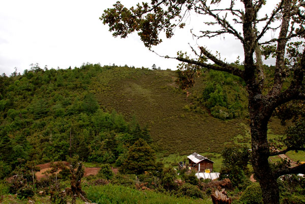 f0115214_13214643.jpg